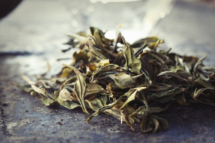 Gruzínský divoký bílý čaj Kamar - Varianta: 37,5 g