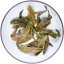 2011 Zelený Ying Kee Puer ze starých stromů v Daxueshan | Da Xue Shan Ying Kee Qing Sheng Cha - koláč 200 g - Varianta: 50 g