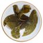 2024 Pu'er verde da alberi antichi di Bingdao | Bing Dao Jintai Sheng Puer - torta pressata 357 g - Variante: 50 g