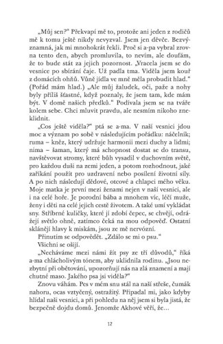 Čajová dívka z Kolibříkové ulice | Lisa See