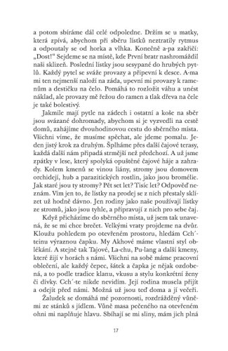 Čajová dívka z Kolibříkové ulice | Lisa See