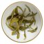 High Mountain Yunnan Green Tea | Gao Shan Dian Lu - Option: Sample 15 g