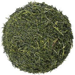 Sencha Fukamushi | Yabukita Ichibancha