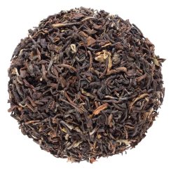 Darjeeling Sourenee Vintage Muscatel SF