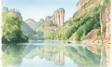 Il tè e le Tre Dottrine: Armonia tra le montagne di Wuyishan