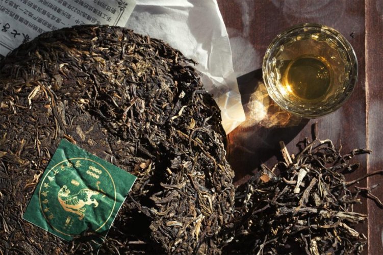 2022 Yiwu Old Tree Sheng Pu-erh | Yi Wu Tou Chun Zao Chun Gu Shu Sheng Cha - cake 357 g - Option: Cake 357 g