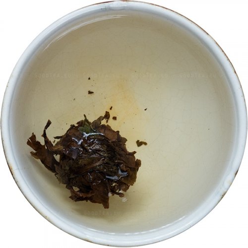 2015 Bílý čaj z Fudingu lisovaný do kuliček | Fuding Hongxue Da Bai Tuo Cha - Varianta: 100 ks