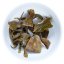 2025 Zelený Puer ze starých stromů v Daxueshan | Da Xue Shan Gu Shu Sheng Cha - koláč 200 g - Varianta: Koláč 200 g
