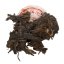 2014 Zelený Puer Yunnan Colorful Phoenix Tea - hnízdo 100 g - Varianta: Hnízdo 100 g