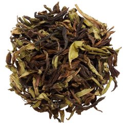 Darjeeling Giddapahar AV2 Wonder FF