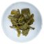 Punte di gelsomino di primavera | Mo Li Chun Hao - Variante: Campione 15 g