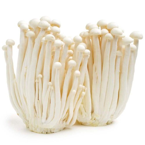 MycoMedica ORGANIC Enoki PRO - 90 capsules