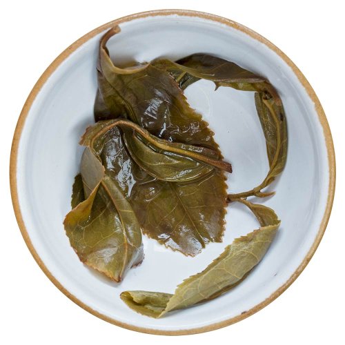 2023 Pu'er verde da alberi antichi di Xigui | Xi Gui Gu Shu Sheng Pu Er - torta pressata 200 g - Variante: Campione 15 g