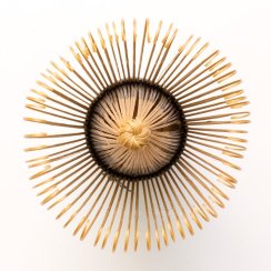 Bamboo Matcha Whisk - 80 bristles | Kurochiku Chasen