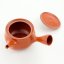 Japanese Ceramic Teapot Kyusu 360 ml