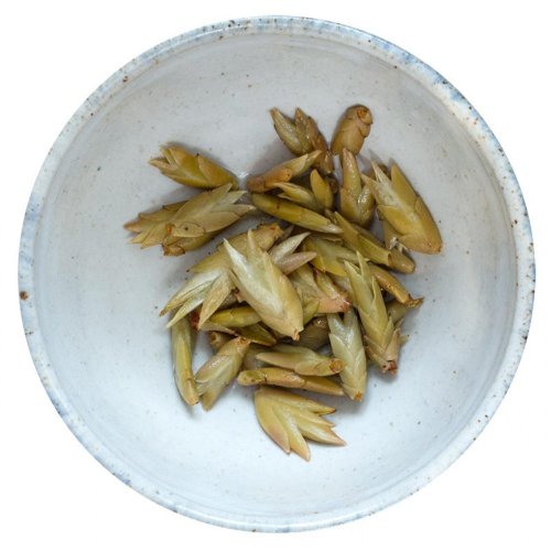 2026 Na slunci sušené pupeny čaje Puer ze starých stromů | Pu Er Bai Ya Bao - Varianta: 1 kg