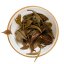 Autumn Black Nepal Chabbesey Moonlight - Option: Sample 15 g