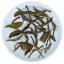 2022 Pu'er verde da alberi antichi di Daxueshan | Da Xue Shan Gu Shu Sheng Cha - torta pressata 200 g - Variante: 50 g