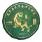 2022 Pu'er verde da alberi antichi di Yiwu | Yi Wu Tou Chun Zao Chun Gu Shu Sheng Cha - torta pressata 357 g