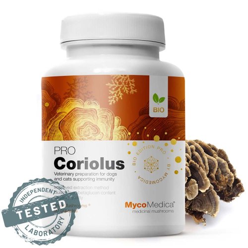 MycoMedica ORGANIC Coriolus PRO - 90 capsules