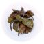 Oolong Fénice di Albero Antico - Aroma di Cacca d'Anatra | Wudong Feng Huang Dan Cong Mi Lan Xiang - Variante: Campione 15 g