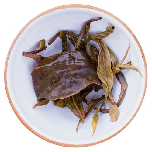 2023 Zelený Puer ze starých stromů v Daxueshan | Da Xue Shan Gu Shu Sheng Cha - koláč 200 g - Varianta: 1 kg