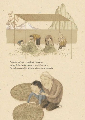 Tajomstvo čaju | Kuang Tsai Hao