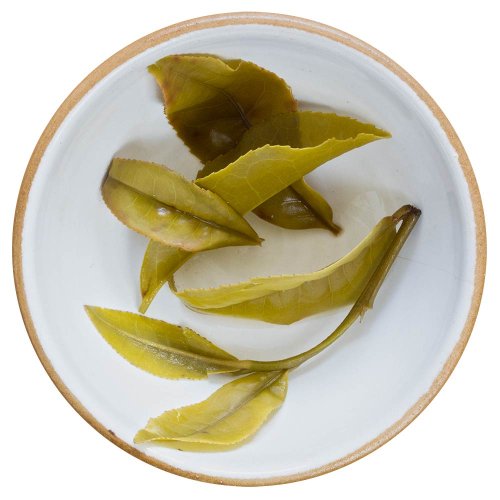 Taiwanský bílý čaj Qi Yun | Ming Qiang Qi Yun Bai Cha - Varianta: 500 g