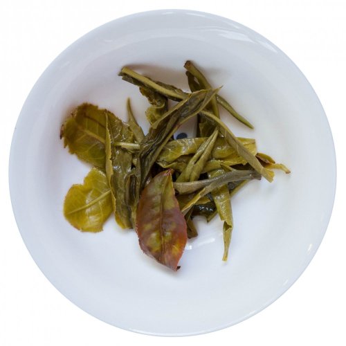 Early Harvest High Mountain Yunnan Green Tea | Zao Chun Gao Shan Dian Lu - Option: 1 kg