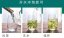 Guzhang Downy Tips | Gu Zhang Mao Jian - Option: Sample 15 g
