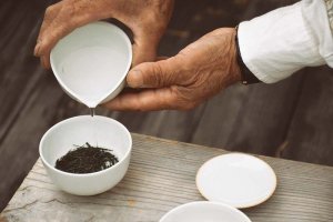 Tsuyucha つゆ茶 or how to fully enjoy Asahina Gyokuro