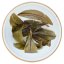 2024 Pu'er verde da alberi antichi di Bingdao | Bing Dao Tian Sheng Puer - torta pressata 357 g - Variante: 50 g