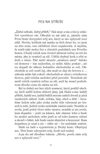 Čajová dívka z Kolibříkové ulice | Lisa See