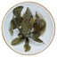 Gunpowder z Hubei | En Shi Zhu Cha - Varianta: 500 g