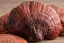 MycoMedica ORGANIC Reishi PRO 30 - 90 capsules