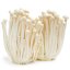 MycoMedica ORGANIC Enoki PRO - 90 capsules