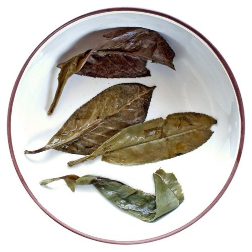 Bitter tea Kuding - Ilex kudingcha | Ku Ding Cha - Option: 50 g