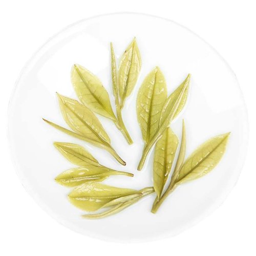 Zhejiang Anji Green Tea | An Ji Bai Cha - Option: 1 kg