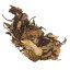 2020 Yunnan Old Tree White Dew | Gu Shu Bai Lu - cake 200 g - Option: Sample 15 g