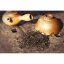Taiwan Yuchi Black Tea Red Jade T-18 | Yu Chi Hong Yu Hong Cha - Option: 50 g