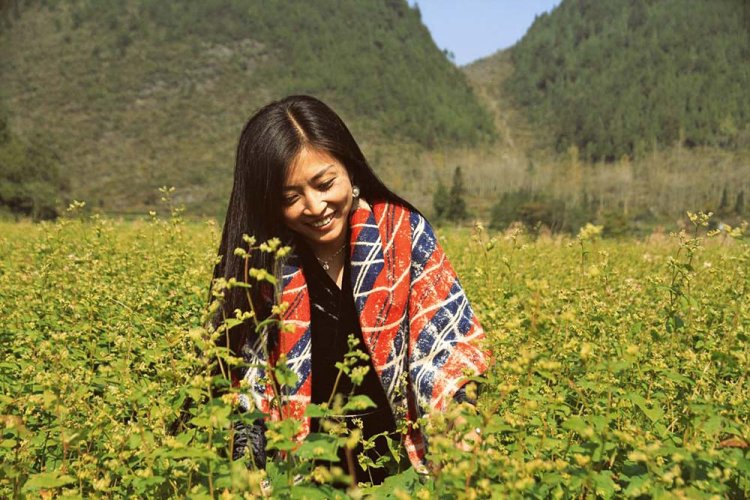 Germi gialli - Tè di grano saraceno di Daliangshan | Pei Ya Huang Ku Qiao Cha - Variante: Campione 15 g