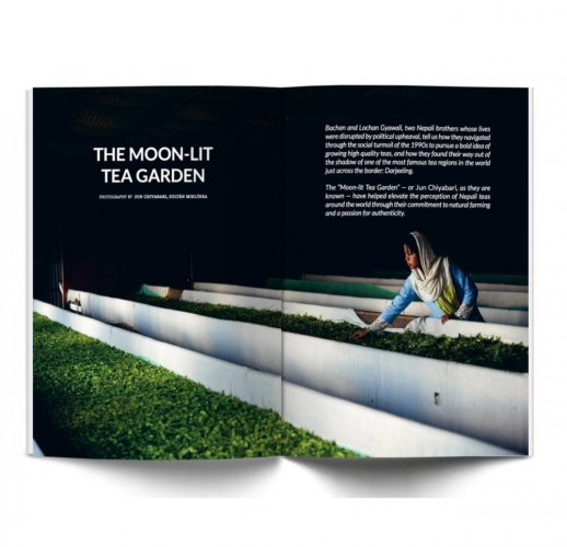 eighty°- the culture of tea 5