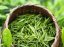 Guzhang Downy Tips | Gu Zhang Mao Jian - Option: 50 g
