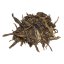 2021 Matai Ancient Tree Sheng Pu-erh | Ma Tai Sheng Pu Er - Cake 357 g - Option: Cake 357 g