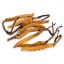 MycoMedica ORGANIC Cordyceps PRO - 90 capsules