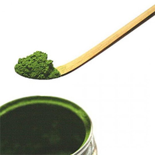 Matcha Spoon | Chashaku