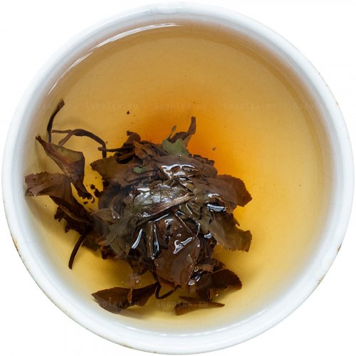 2015 Bílý čaj Hongxue z Fudingu lisovaný do kuliček | Fuding Hongxue Da Bai Tuo Cha - Varianta: 10 ks