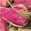 Boccioli di rose rosse cinesi | Ban Kai Mei Gui - Variante: 500 g