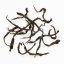 Taiwan Yuchi Black Tea Red Jade T-18 | Yu Chi Hong Yu Hong Cha - Option: 50 g