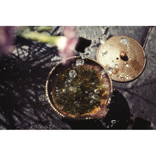 Taiwanský Mei Shan Jin Xuan Oolong - Varianta: 50 g